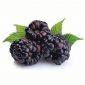 blackberry