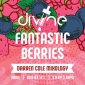 divine fantastic berries αρωμα