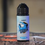 mascot-bears-shark-vapeshelter