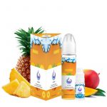 flexy-hawaii-ice-flavorshot-vapeshelter