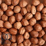 tpa-dx-hazelnut-concentrated-aroma-vapeshelter