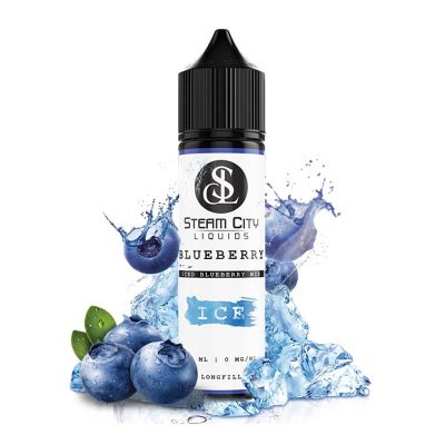 steam city blueberry ice flavorshot